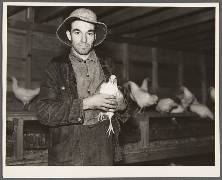 Client on farm tenancy project in his new chicken house. Tompkins County, New York