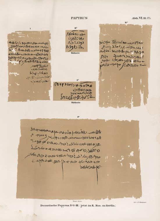 Papyrus. Demotische Papyrus. No. I-III. [jetzt im K. Museum zu Berlin.]
