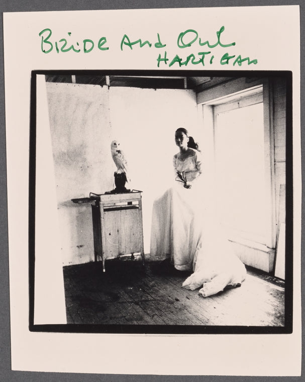 Bride & Owl Grace Hartigan