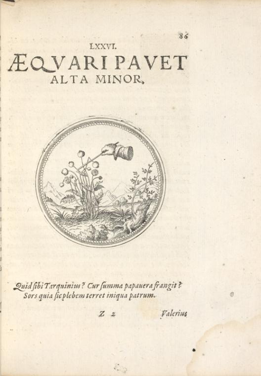 Aeqvari pavet alta minor