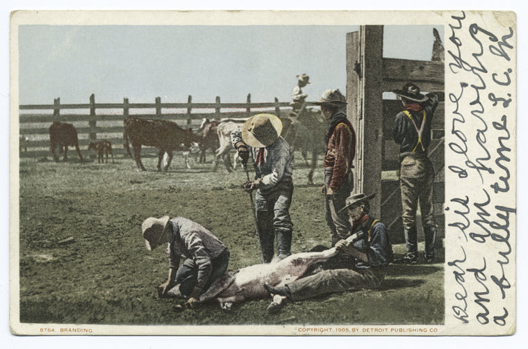 Branding, Cowboy