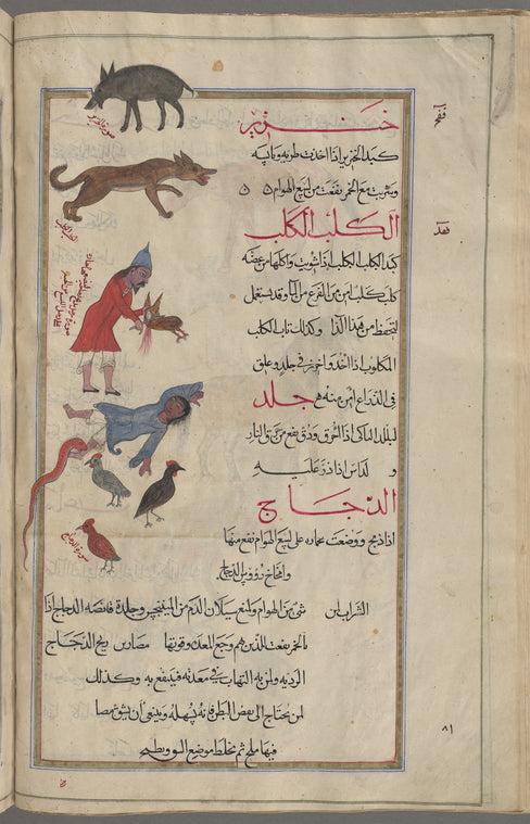 Boar (Sus scrofa), khinzîr [top]; Mad dog, al-kalb al-kalib [upper middle]; A man slaughtering a hen, dajâjah [middle]; A youth being bitten by a snake [lower middle]; Three hens, al-dajâj [bottom]