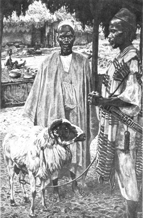 The Negro in West Africa: Liberian Hinterland.