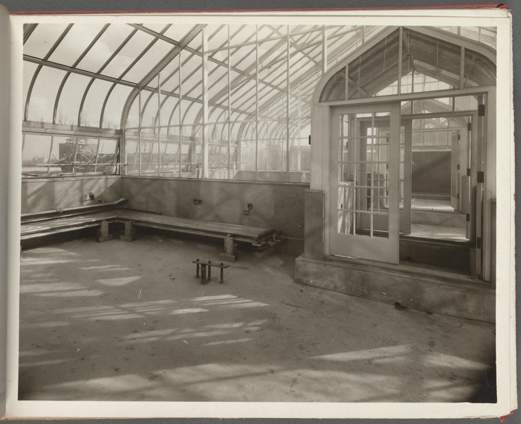 American Museum of Natural History, African Hall. Central Park West & 80th Street
