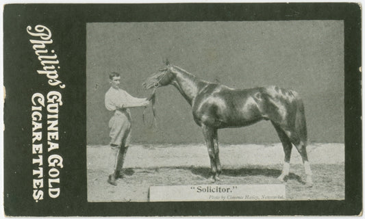 Solicitor."