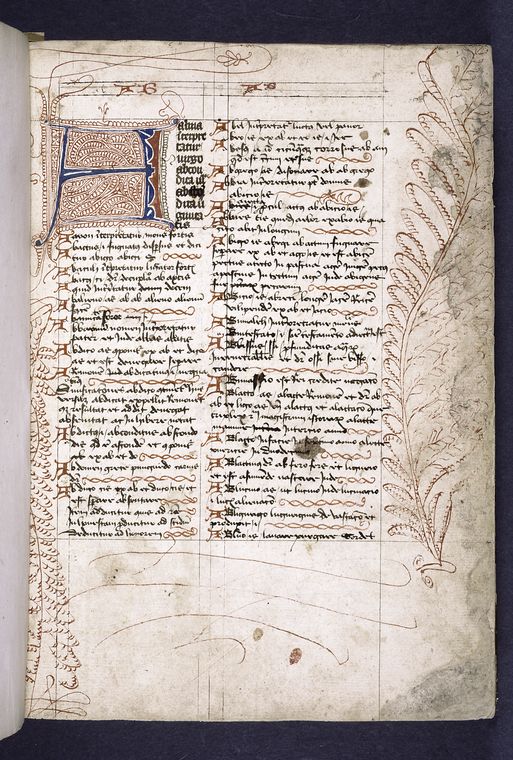 Opening of text, large letter with penwork, small initials and linefillers, hierarchy of scripts.  Large penwork feather drawn in border