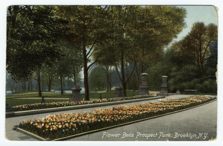 Flower beds Prospect Park, Brooklyn, N.Y.