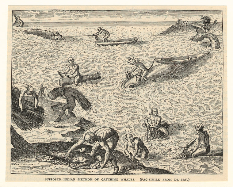 Supposed Indian method of catching whales