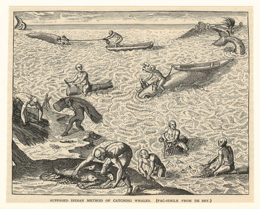 Supposed Indian method of catching whales