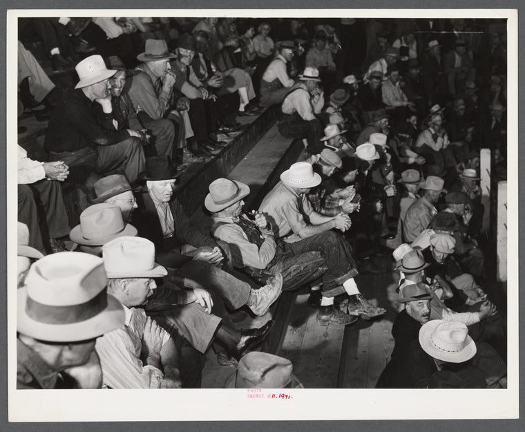 Auction at Union Livestock Commission Company, Gering, Nebraska.