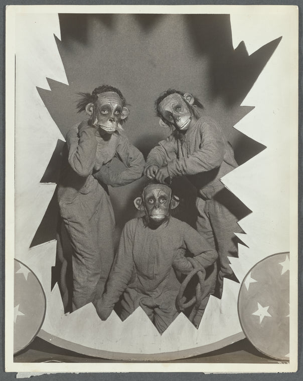 The Three Monkeys