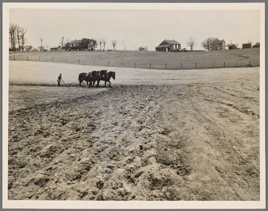 Plowing on a Maryland farm?