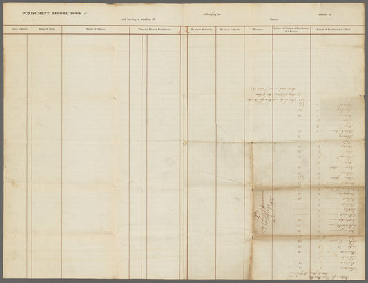 Punishment record books of Friendship Plantation