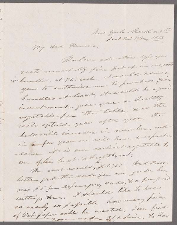 Letter from Maria Gansevoort Melville to Herman Melville