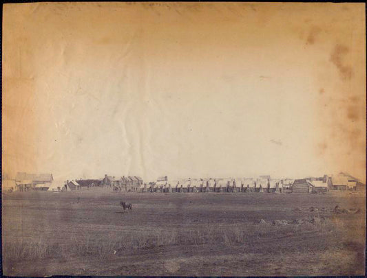 Camp near Brandy Station / Alexander Gardner