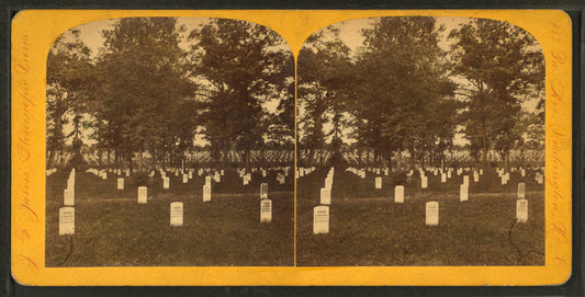 Arlington cemetery.