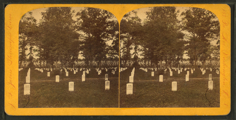Arlington cemetery.