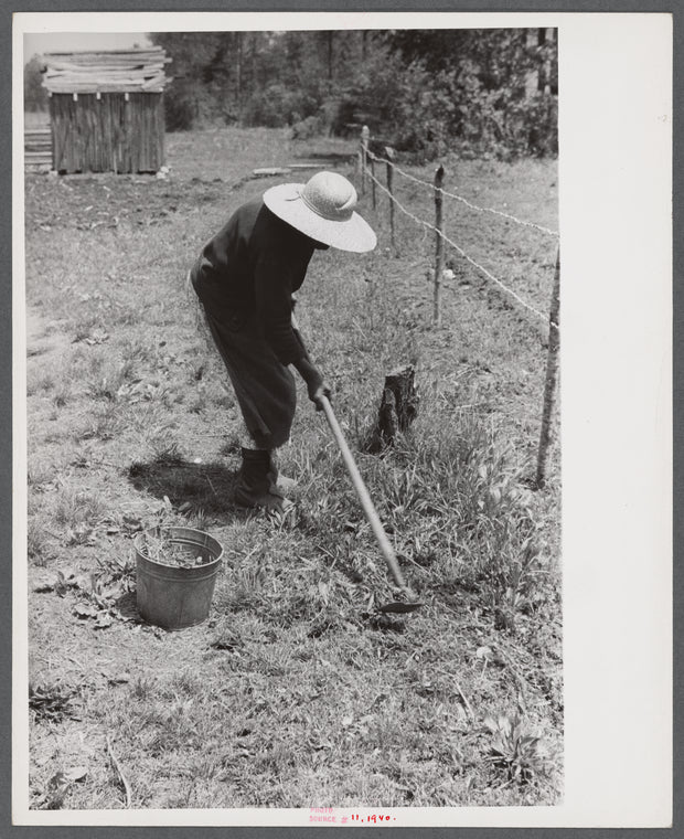 Black woman tending her garden near Princess Anne, Maryland.