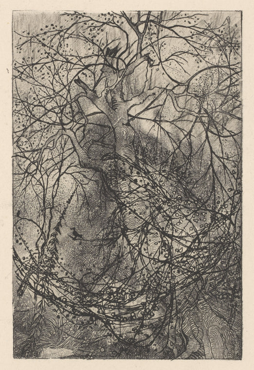 Branchages