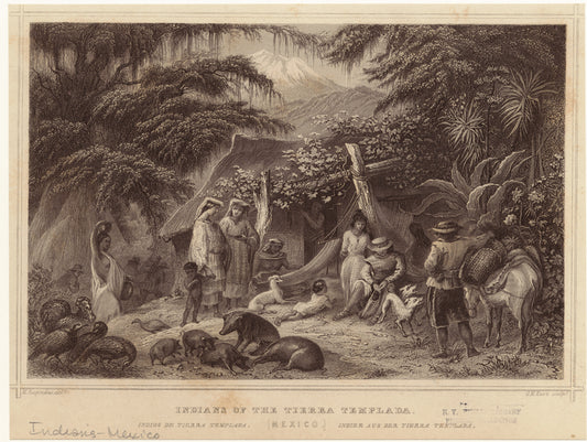 Indians of the Tierra Templada (Mexico)