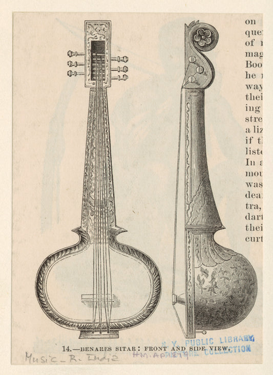 Benares sitar : front and side view.