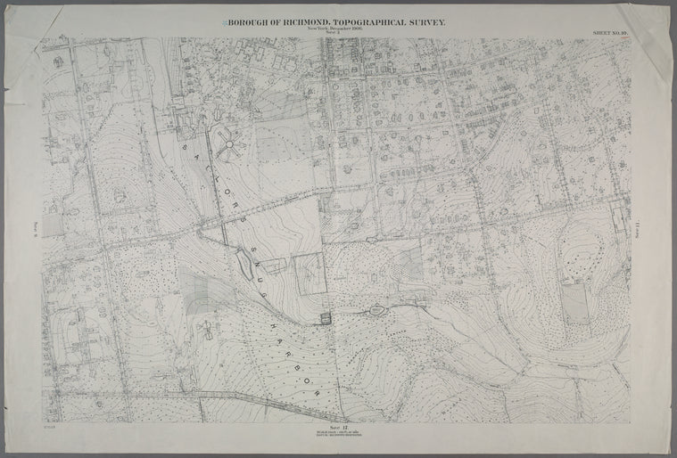Sheet No. 10. [Includes Sailor's Snug Harbor (Livingston), Henderson Avenue, Castleton Avenue, Prospect Avenue, N.St.Austins Avenue, S. St. Austins Avenue, Brighton Avenue and Webster Avenue.]