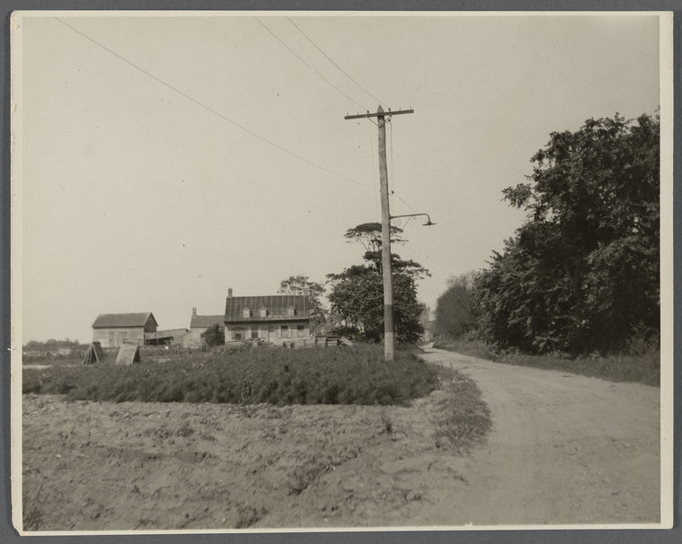 Nickalaus house. Jamaica