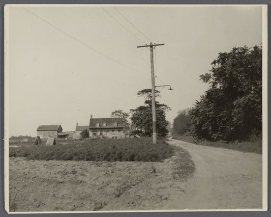 Nickalaus house. Jamaica