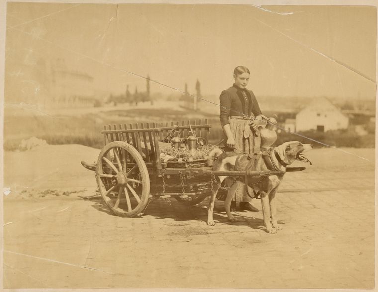Woman with dog pulled cart