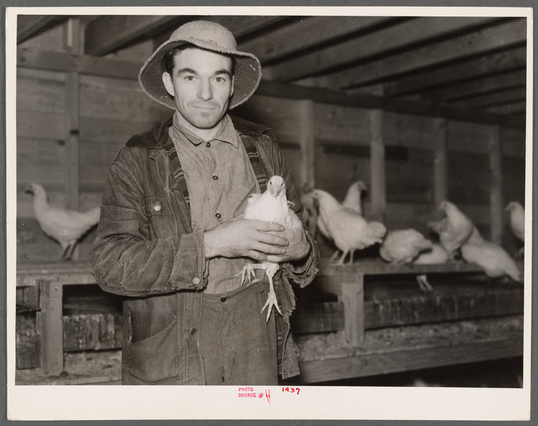 Client on farm tenancy project in his new chicken house. Tompkins County, New York