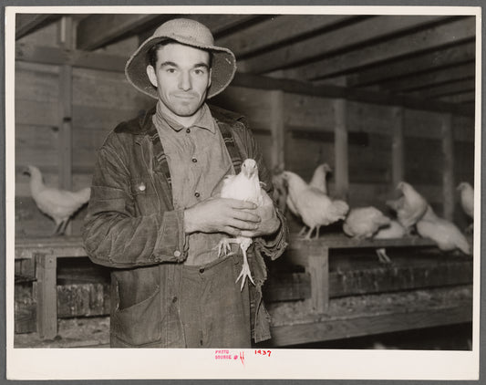 Client on farm tenancy project in his new chicken house. Tompkins County, New York