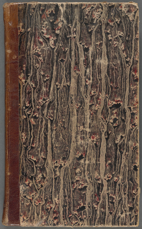 Elisa, ossia, È una disgrazia l'esser donna ...