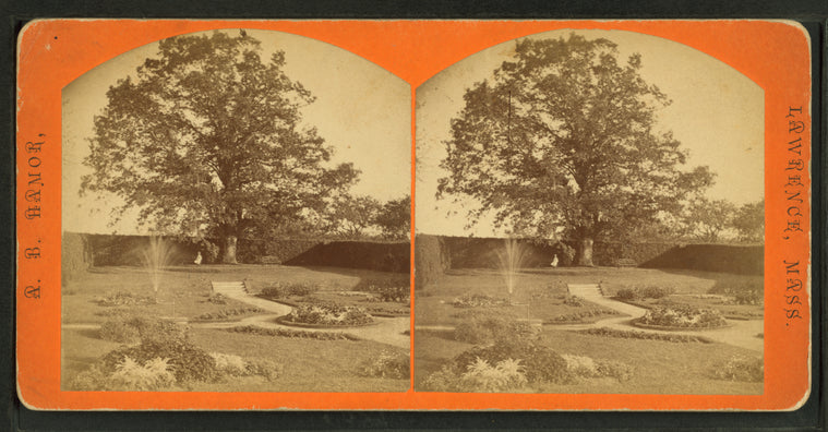 Garden, showing flower beds, enclosing hedges, tree and fountain.