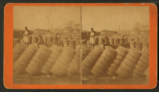 Cotton in R.R. yard.