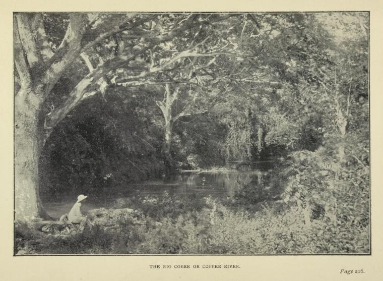 The Rio Cobre or Copper River.