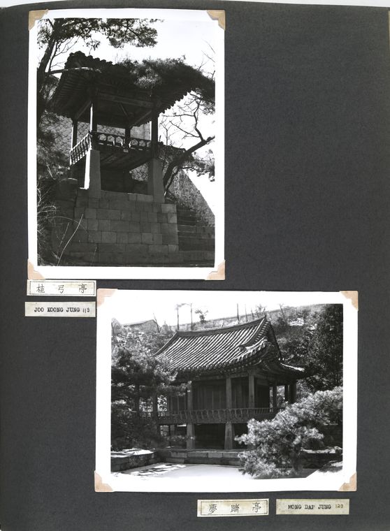 Joo Koong Jung. [119]; Mong Dap Jung. [120]