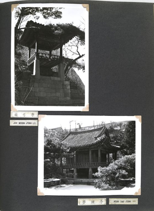 Joo Koong Jung. [119]; Mong Dap Jung. [120]