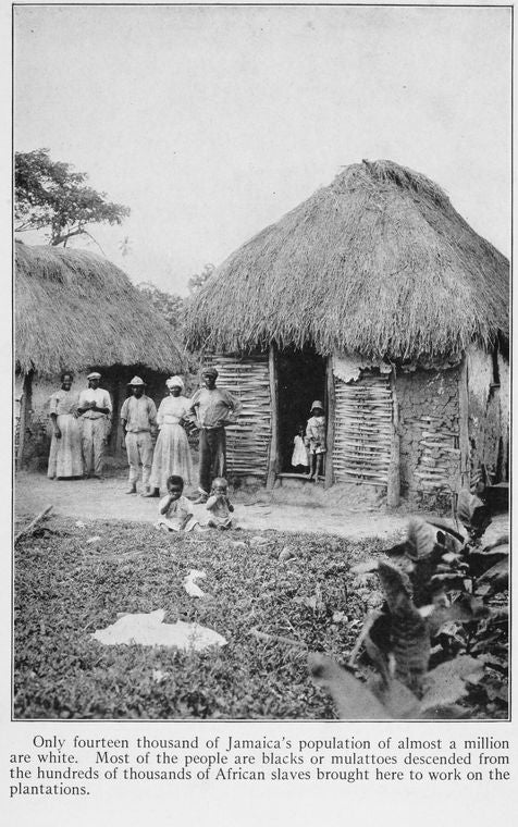 Only fourteen thousand of Jamaica's population of almost a million are white. Most of the people are blacks or mulattoes descended from the hundreds of thousands of African slaves brought here to work on the plantations.