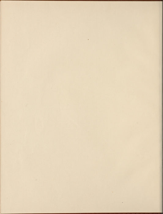 Holograph drama (fragment), Proserpine