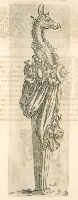 Print illustrating Du camaleon ou girafle.