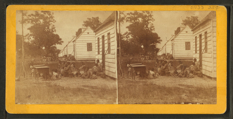 A plantation scene in South Carolina.