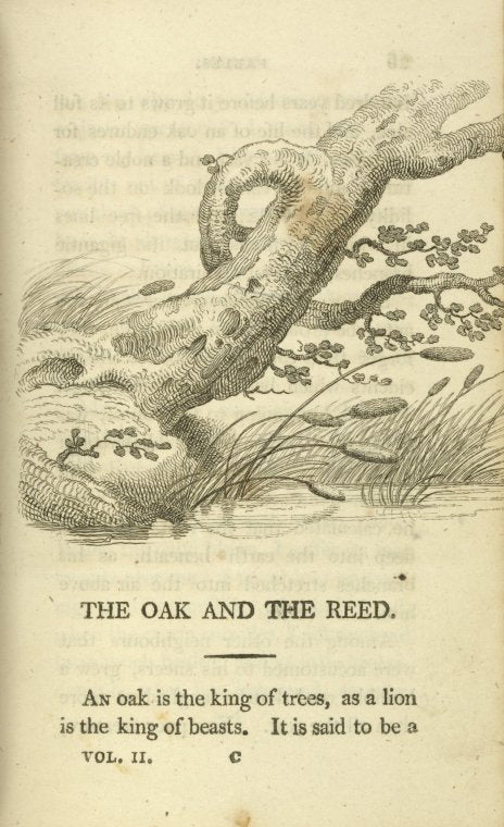 The oak and the reed