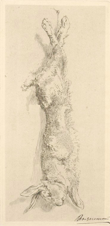 [Le lapin de garenne.]