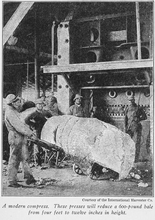 A modern compress; These presses will reduce a 600-pound bale from four feet to twelve inches in height.