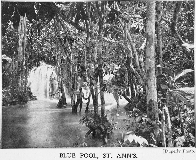 Blue pool, St. Ann's; [Jamaica.]