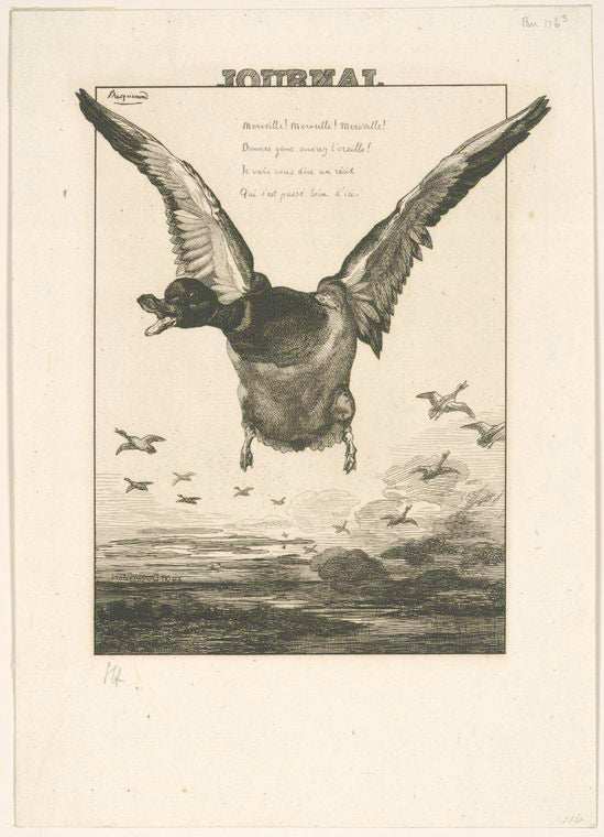 Le canard