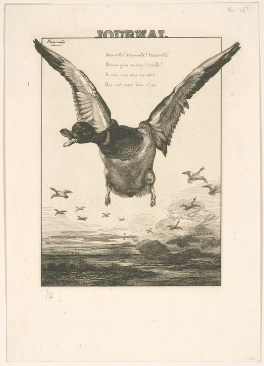 Le canard