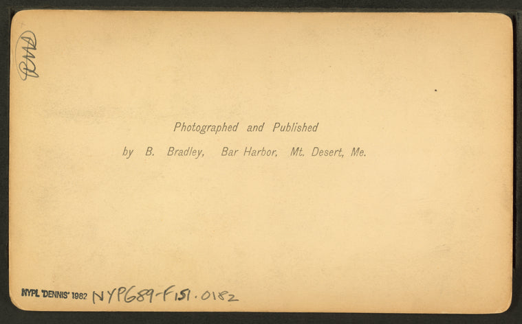 The buckboard, Bar Harbor, Mt. Desert, Me.