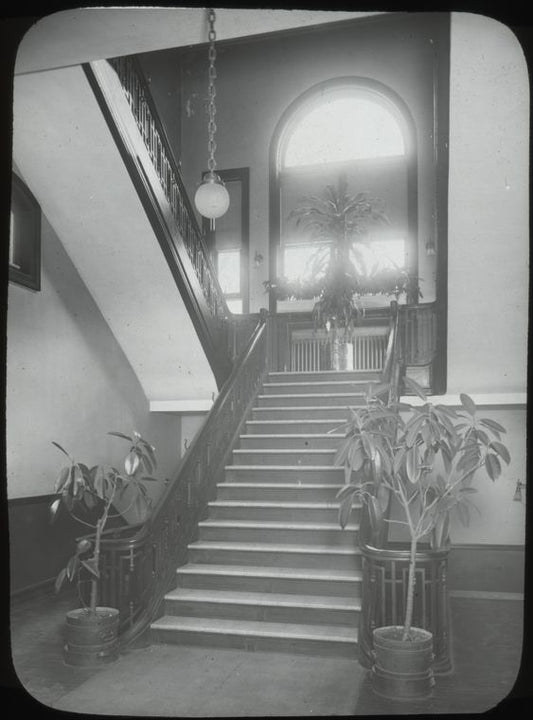 Morrisania Branch, stairway, Apr. 25, 1911