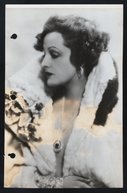 Andra Fern